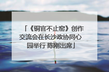 《铜官不止窑》创作交流会在长沙政协同心园举行 陈刚出席