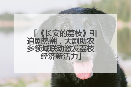 《长安的荔枝》引追剧热潮，大剧助农多领域联动激发荔枝经济新活力