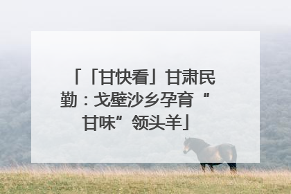 「甘快看」甘肃民勤：戈壁沙乡孕育“甘味”领头羊