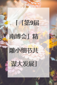 「第9届南博会」精雕小细节共谋大发展