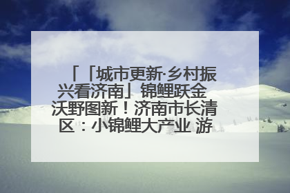 「城市更新·乡村振兴看济南」锦鲤跃金 沃野图新！济南市长清区：小锦鲤大产业 游出农旅新风景