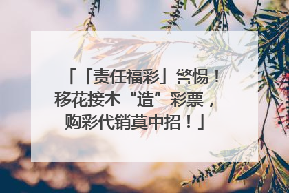 「责任福彩」警惕！移花接木“造”彩票，购彩代销莫中招！