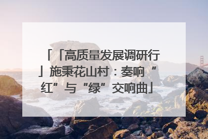 「高质量发展调研行」施秉花山村：奏响“红”与“绿”交响曲