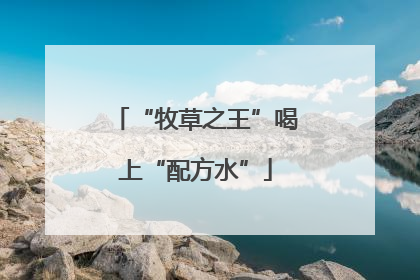 “牧草之王”喝上“配方水”