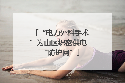 “电力外科手术”为山区织密供电“防护网”