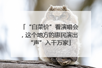 “白菜价”看演唱会，这个地方的惠民演出“声”入千万家
