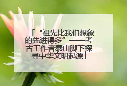 “祖先比我们想象的先进得多”——考古工作者泰山脚下探寻中华文明起源
