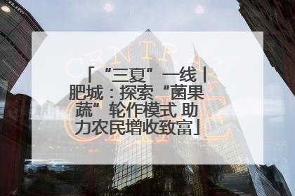 “三夏”一线丨肥城：探索“菌果蔬”轮作模式 助力农民增收致富