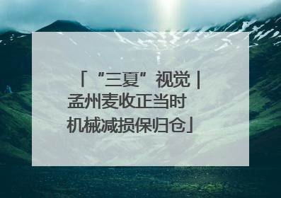“三夏”视觉｜孟州麦收正当时 机械减损保归仓