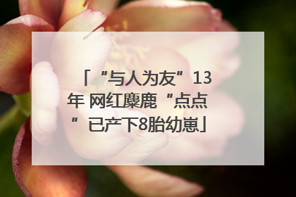 “与人为友”13年 网红麋鹿“点点”已产下8胎幼崽
