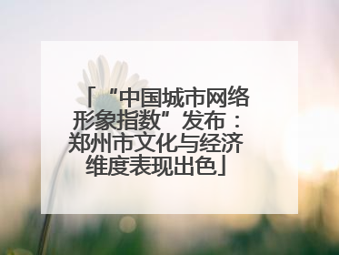 “中国城市网络形象指数”发布：郑州市文化与经济维度表现出色