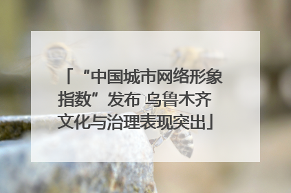 “中国城市网络形象指数”发布 乌鲁木齐文化与治理表现突出