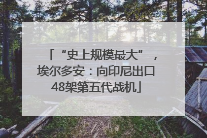 “史上规模最大”，埃尔多安：向印尼出口48架第五代战机
