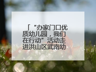 “办家门口优质幼儿园，我们在行动”活动走进洪山区武南幼儿园童趣园