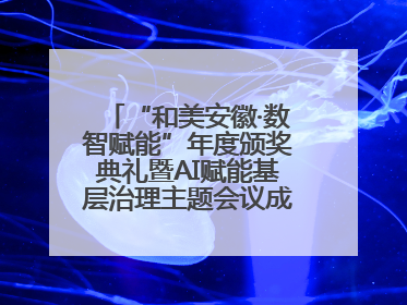 “和美安徽·数智赋能”年度颁奖典礼暨AI赋能基层治理主题会议成功举办