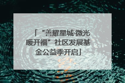 “善耀星城·微光暖开福”社区发展基金公益季开启