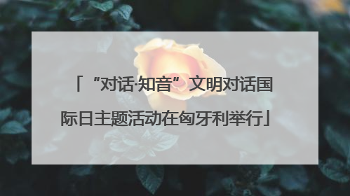 “对话·知音”文明对话国际日主题活动在匈牙利举行