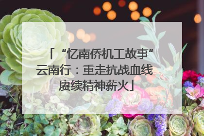 “忆南侨机工故事”云南行：重走抗战血线 赓续精神薪火