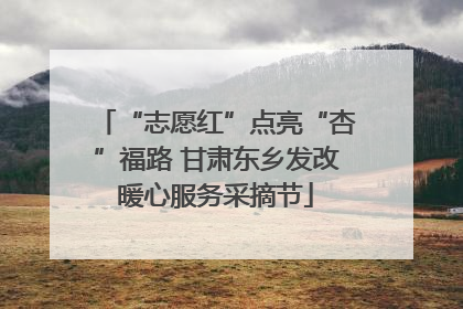 “志愿红”点亮“杏”福路 甘肃东乡发改暖心服务采摘节