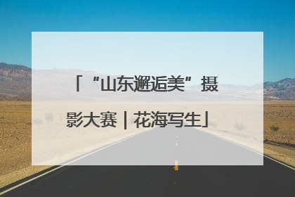 “山东邂逅美”摄影大赛｜花海写生