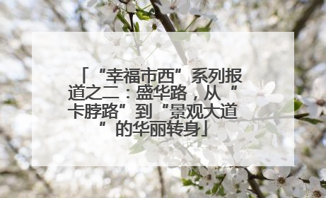 “幸福市西”系列报道之二：盛华路，从“卡脖路”到“景观大道”的华丽转身