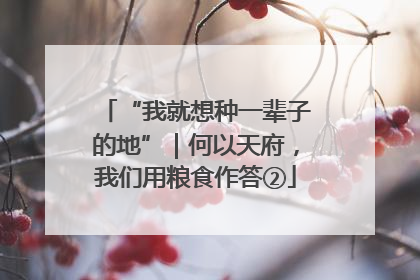“我就想种一辈子的地”｜何以天府，我们用粮食作答②