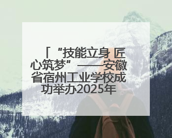 “技能立身 匠心筑梦”——安徽省宿州工业学校成功举办2025年职业技能活动周各项活动