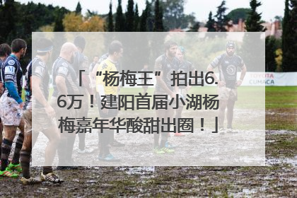 “杨梅王”拍出6.6万！建阳首届小湖杨梅嘉年华酸甜出圈！