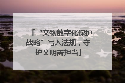 “文物数字化保护战略”写入法规，守护文明需担当
