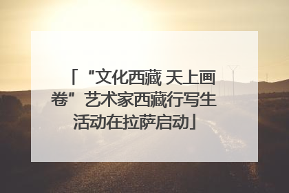 “文化西藏 天上画卷”艺术家西藏行写生活动在拉萨启动