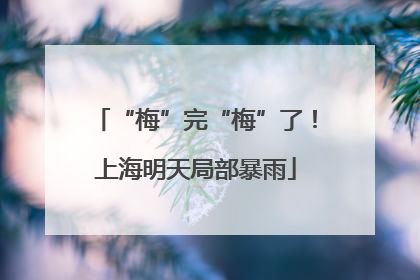 “梅”完“梅”了！上海明天局部暴雨
