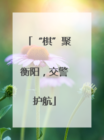 “棋”聚衡阳，交警护航