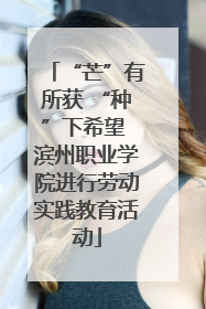 “芒”有所获 “种”下希望 滨州职业学院进行劳动实践教育活动
