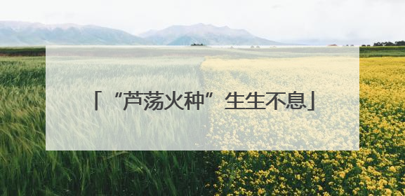 “芦荡火种”生生不息