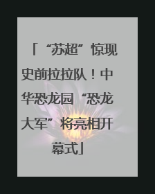 “苏超”惊现史前拉拉队！中华恐龙园“恐龙大军”将亮相开幕式