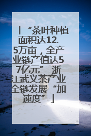“茶叶种植面积达12.5万亩，全产业链产值达57亿元” 浙江武义茶产业全链发展“加速度”