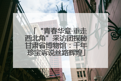 “青春华章·重走西北角”采访团探秘甘肃省博物馆：千年珍宝诉说丝路辉煌
