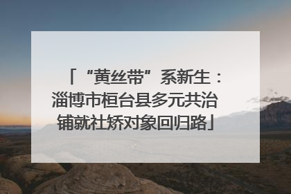 “黄丝带”系新生：淄博市桓台县多元共治铺就社矫对象回归路