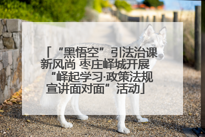 “黑悟空”引法治课新风尚 枣庄峄城开展“峄起学习·政策法规宣讲面对面”活动