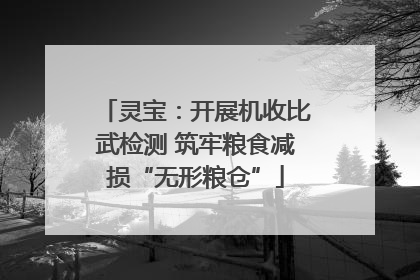 灵宝：开展机收比武检测 筑牢粮食减损“无形粮仓”