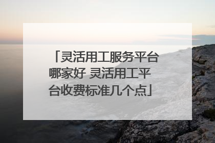 灵活用工服务平台哪家好 灵活用工平台收费标准几个点