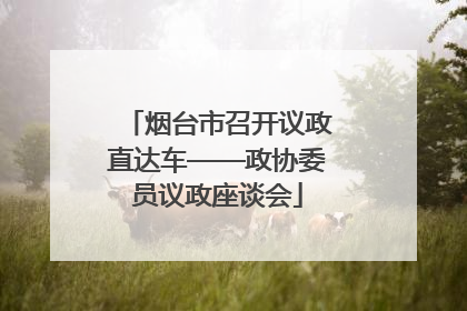 烟台市召开议政直达车——政协委员议政座谈会