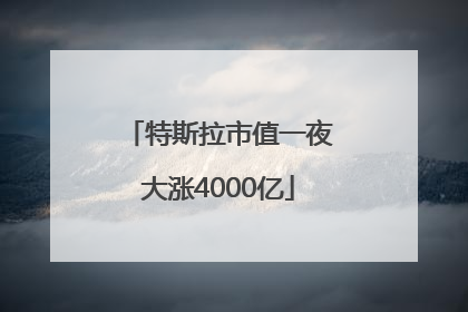 特斯拉市值一夜大涨4000亿
