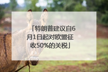 特朗普建议自6月1日起对欧盟征收50%的关税