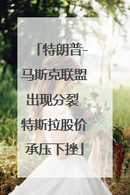 特朗普-马斯克联盟出现分裂 特斯拉股价承压下挫