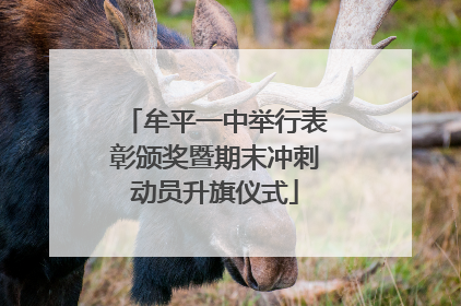 牟平一中举行表彰颁奖暨期末冲刺动员升旗仪式