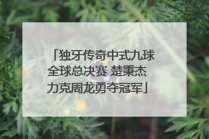 独牙传奇中式九球全球总决赛 楚秉杰力克周龙勇夺冠军