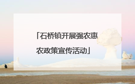 石桥镇开展强农惠农政策宣传活动