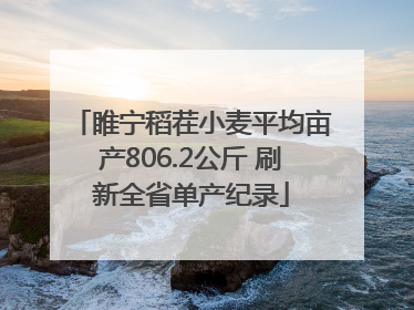 睢宁稻茬小麦平均亩产806.2公斤 刷新全省单产纪录