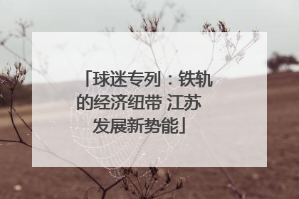 球迷专列：铁轨的经济纽带 江苏发展新势能